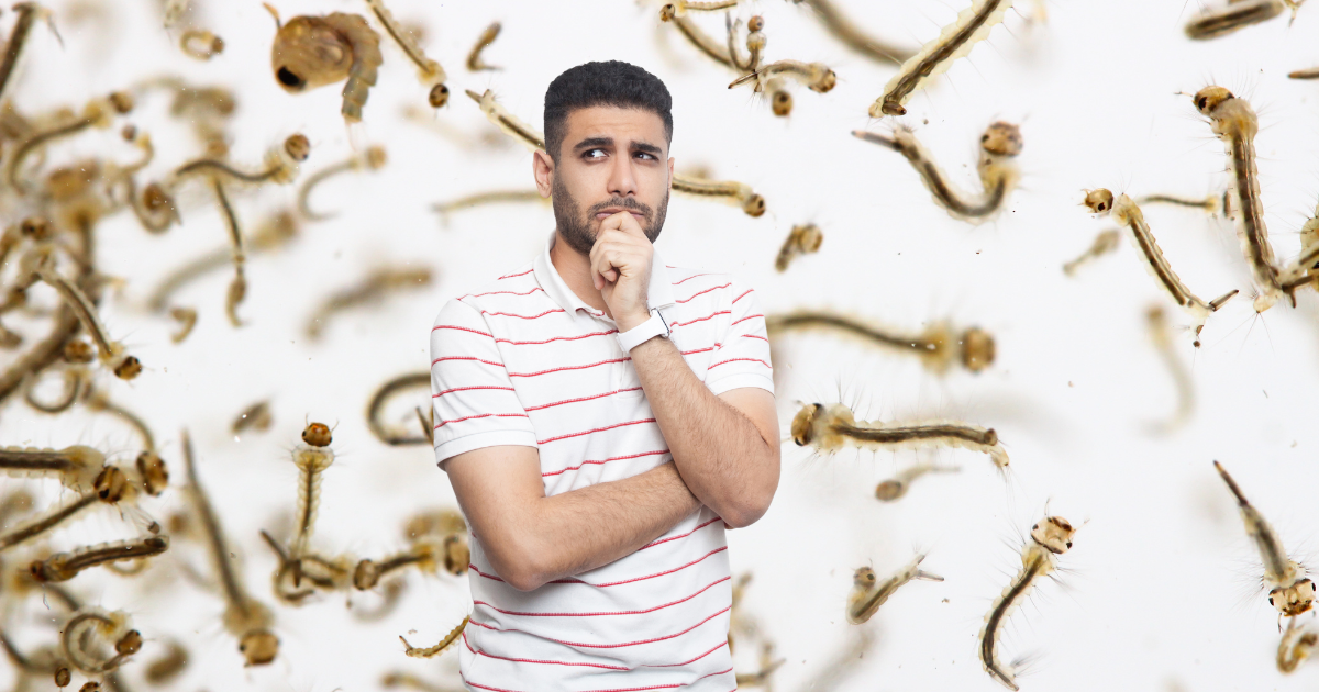 How to Kill Mosquito Larvae: Effective Strategies for Eliminating the Problem