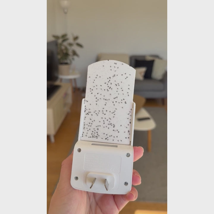 Home demonstration of Mozzigear Glow Guard insect trap. The video shows the slim plug-in device glowing at night, attracting mosquitoes and flies, and a sticky pad inside filling with trapped insects. Device is removed from the outlet to show ease of use and refills